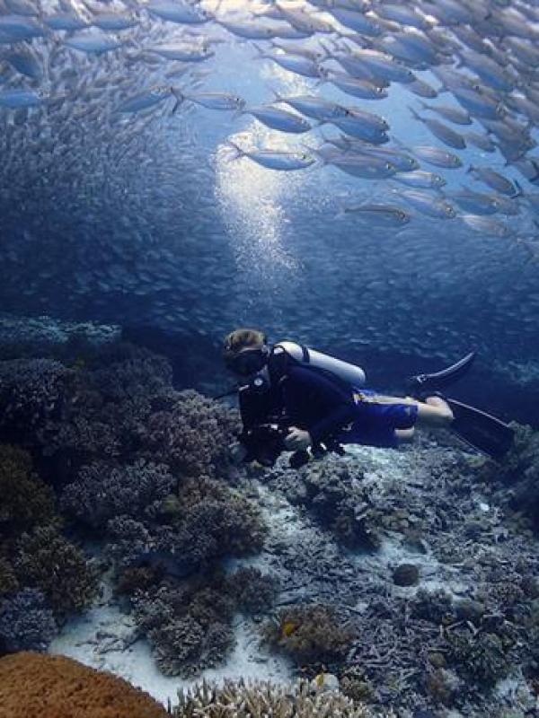 Diving in Raja Ampat